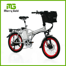 Fashion Lithium Battery Power Folding E Bicycle with Rear Bags